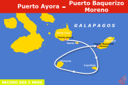 Display Race map